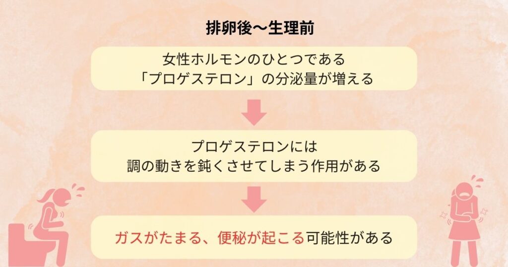 排卵後～生理前にお腹が張る、便秘になる原因